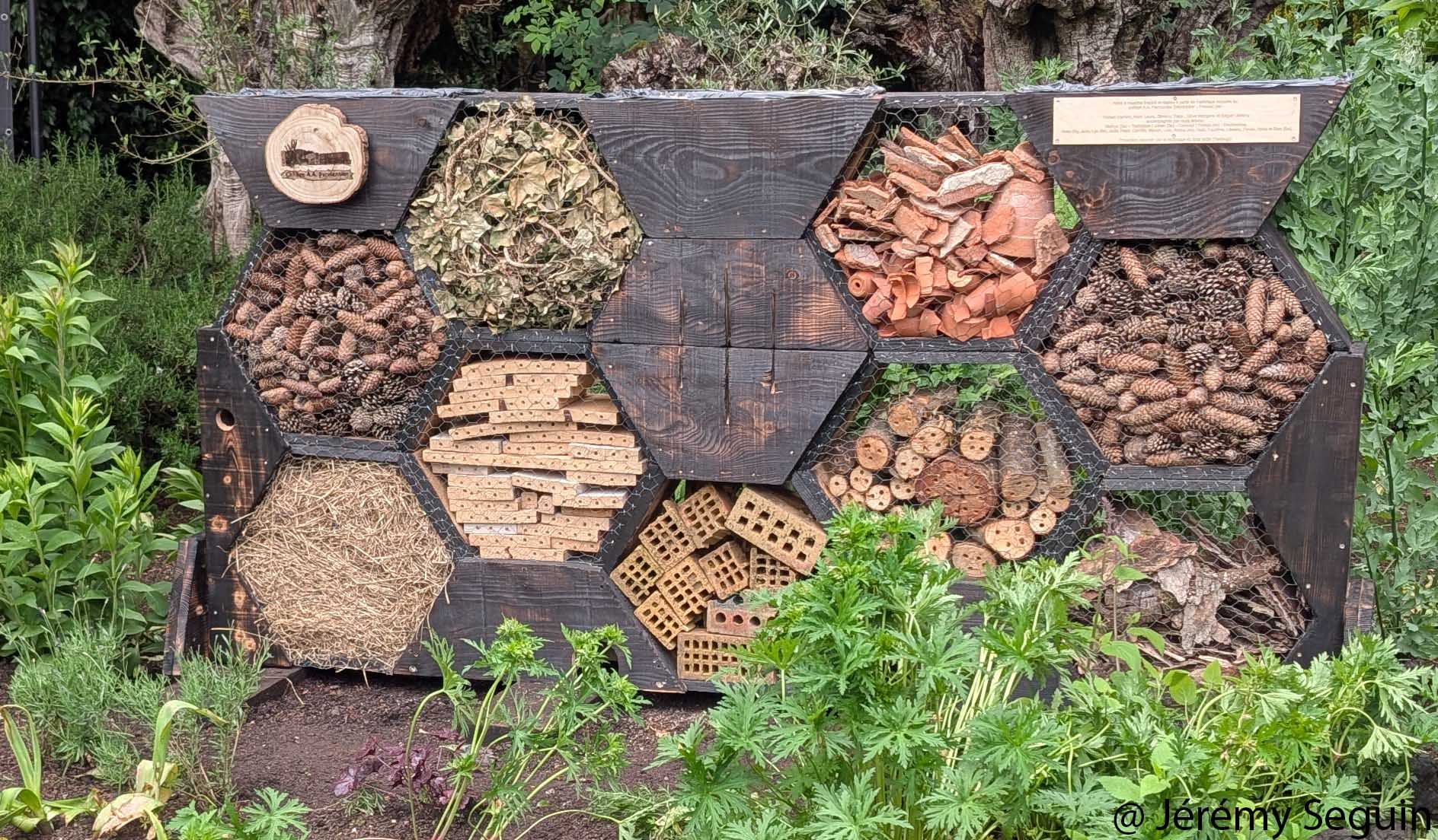 De l’idée d’un élève à Pairi Daiza : le collège Parmentier installe son hôtel à insectes